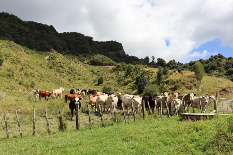 1 Waitaanga Road Ahititi_27