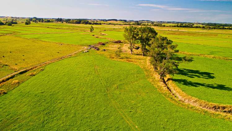 134 Waikawa Beach Road Manakau_9