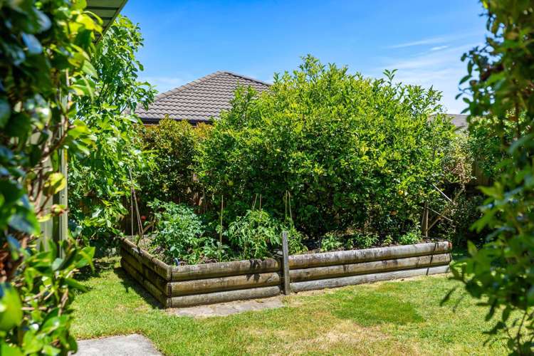 7 Parkwood Place Papamoa_20