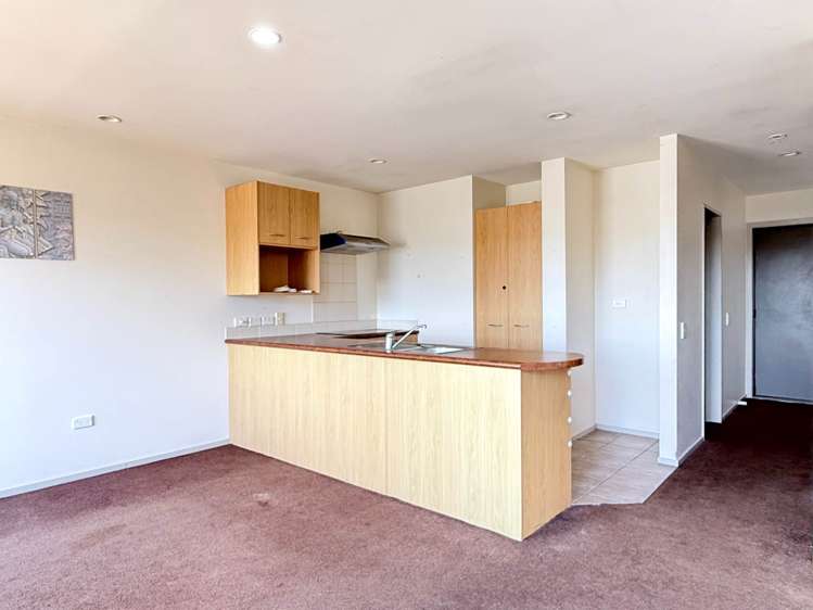 Georgia Terrace Albany_2