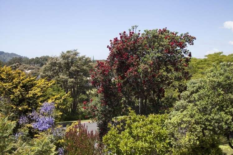 229 Tukere Drive Whangamata_29