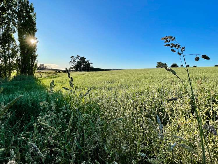 48 Gardiners Road, Starvation Hill Oxford_16