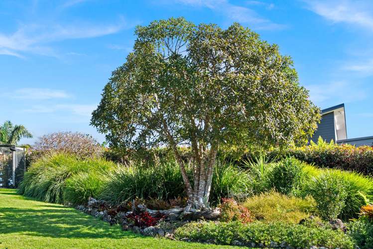 22 Chatsfield Place Kamo_23