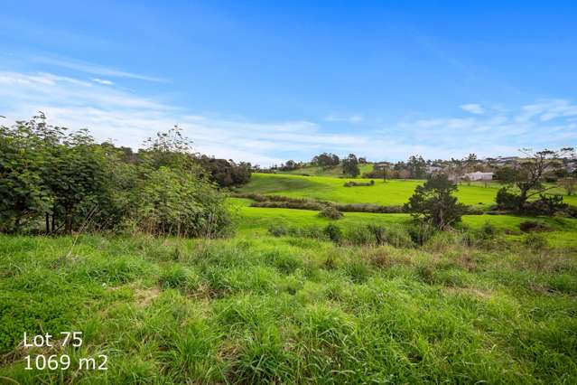 38 Mahi Road Helensville_1