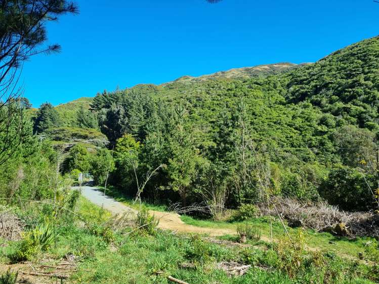 238 Stratton Street Normandale_6