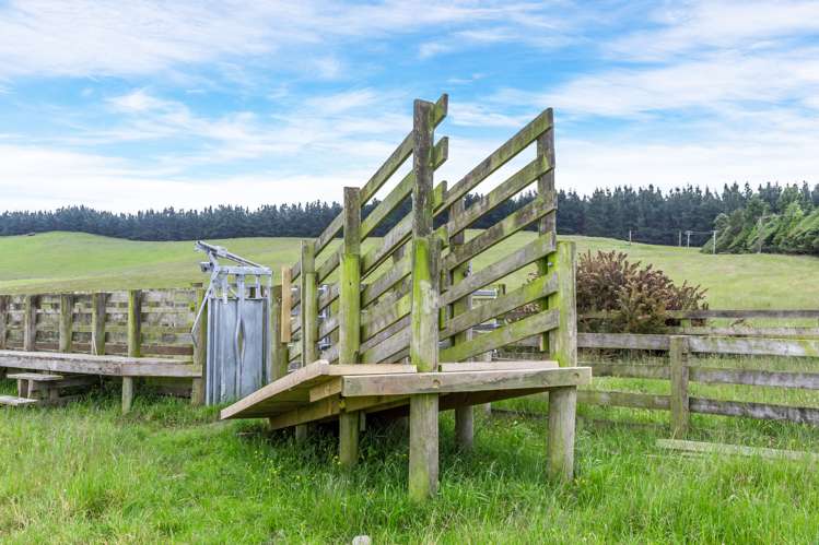 Steeles Road Hororata_7