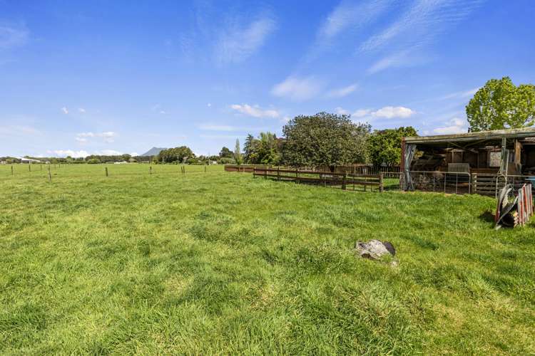 99 Hallett Road Otakiri_18