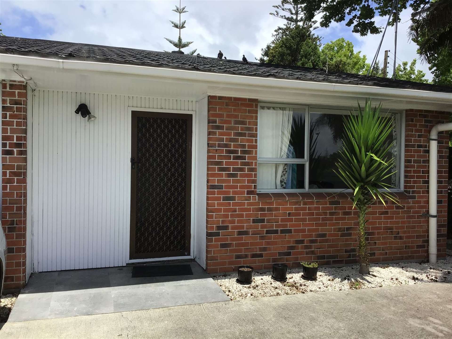 1/1 Pine Street New Lynn_0