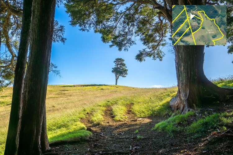 Telfer Road Parua Bay_41