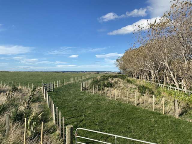 188 Reynolds Road Ratana_2