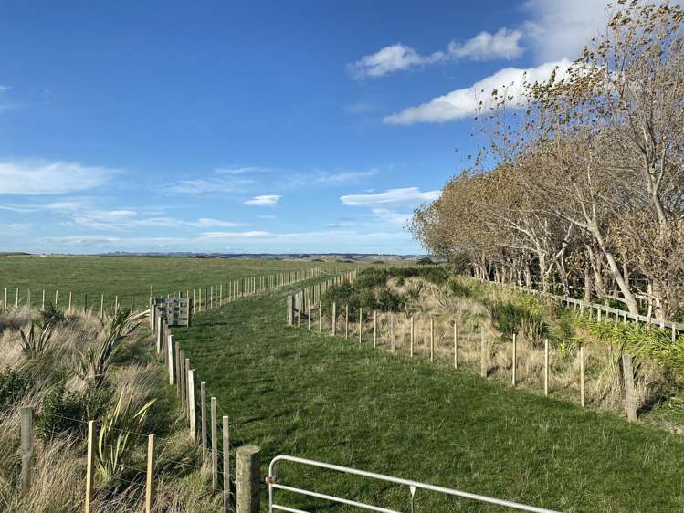 188 Reynolds Road Ratana_2