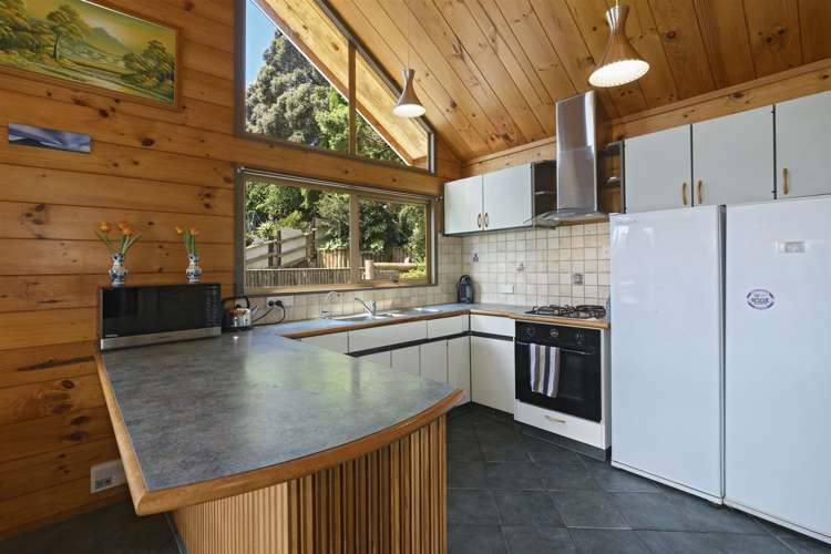 21 Carlton Street Bellevue_6