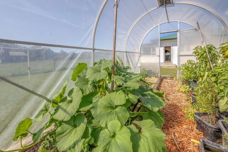 191 Flume Road Te Miro_12