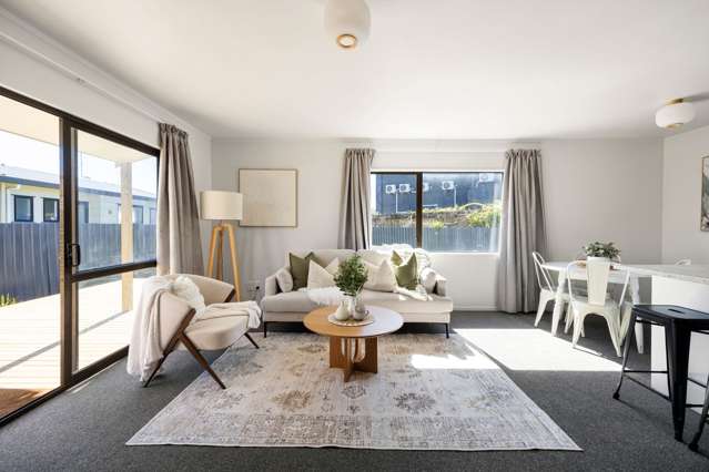2B Hawk Street Frankton_4