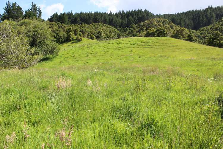 1529 Duncan Road Kaitaia_25