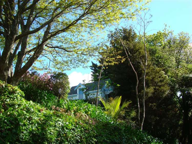 292 Lindemann Road Hauraki Surrounds_12