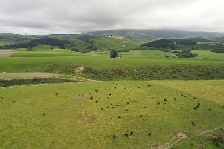 1159 Winchester Hanging Rock Road Kakahu_18