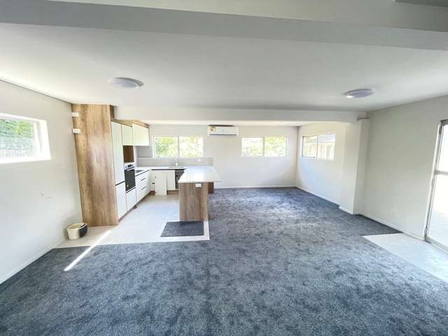 113 Luke Street Otahuhu_2