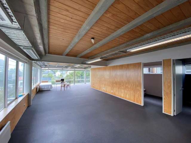 34 Douglas Street Ponsonby_3