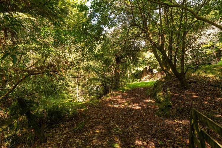 542 Waitekauri Road, Waikino Waihi_23
