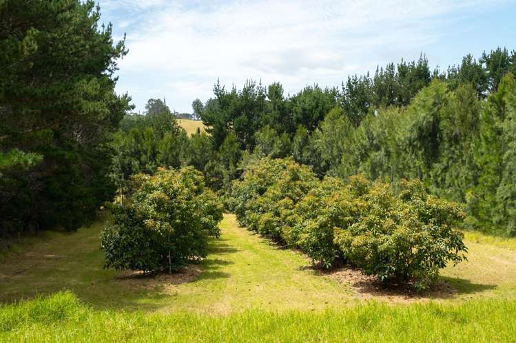 5126 State Highway One Ngataki_14