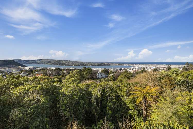 32 Tweed Street Roslyn_29