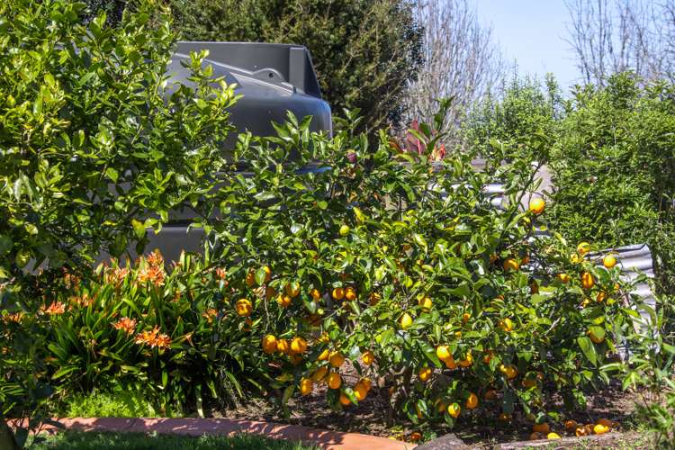 15 Josephine Place Te Kauwhata_40