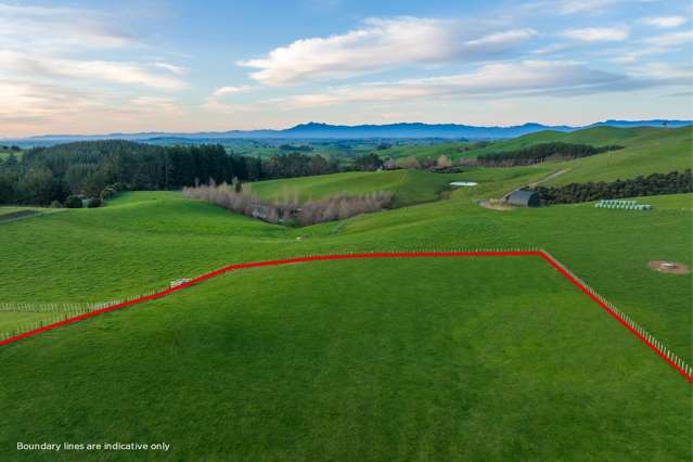 713D Waterworks Road Morrinsville_3