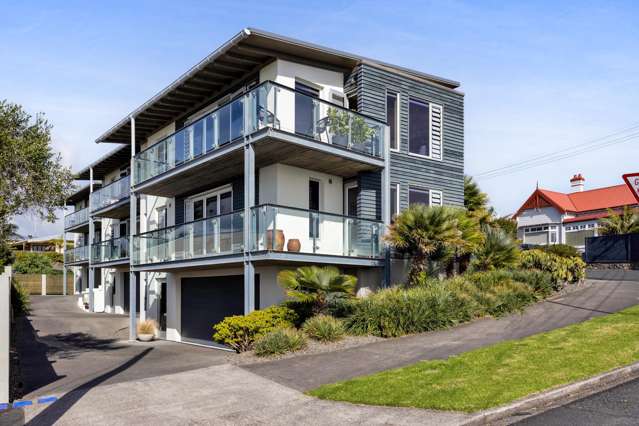 90b Buller Street New Plymouth Central_3