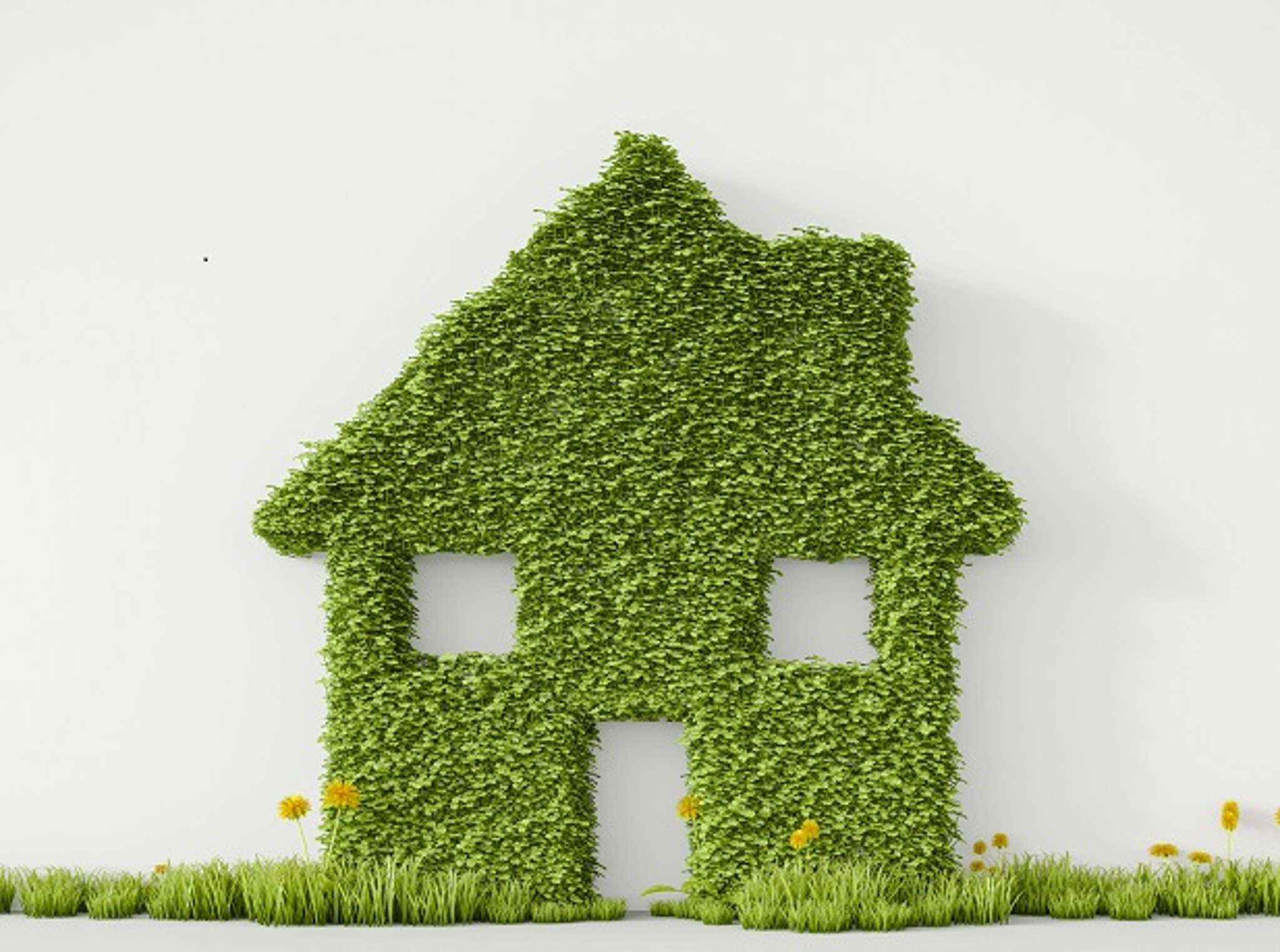 Kiwi demand for green homes has more than quadrupled