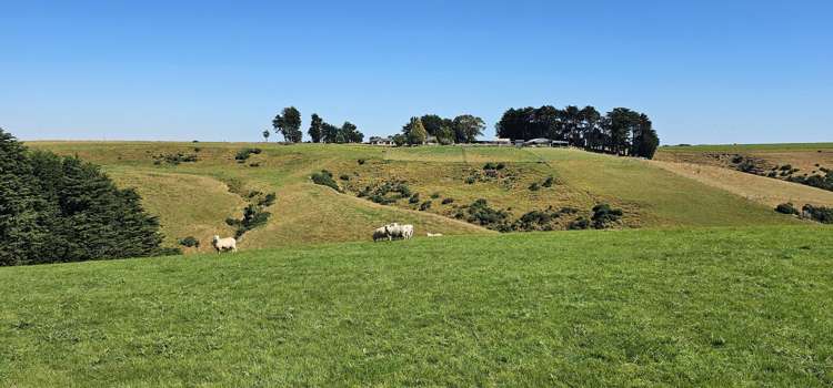 122 Middleton Road Waimahaka_21