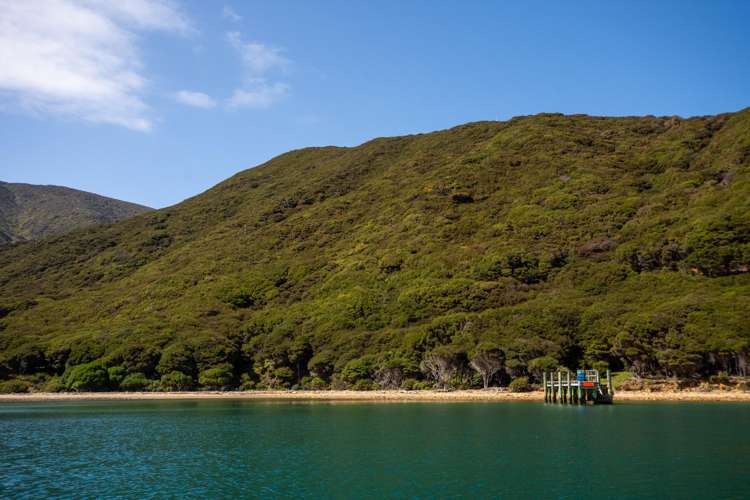 Lot 4 + 5 Te Aroha Bay, Otanerau Bay Marlborough Sounds_76