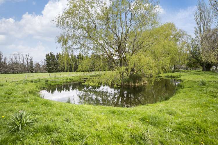 86 Mold Street Middlemarch_14