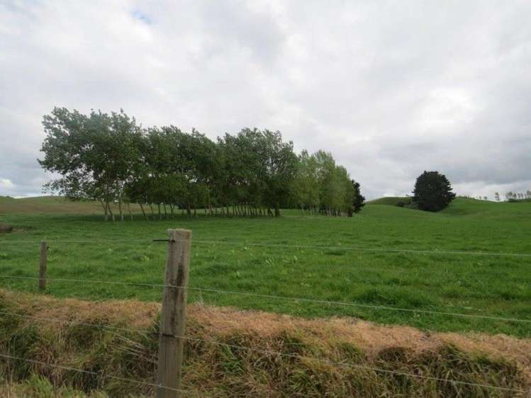 114 Pukekapia Road Ruawaro_16