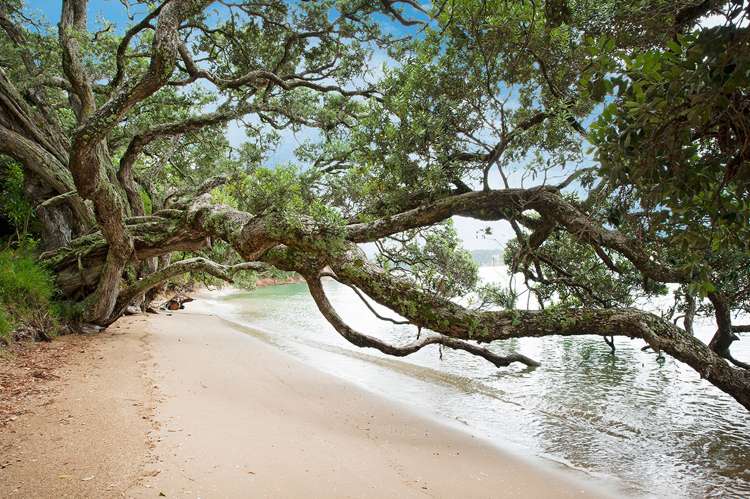 134 Cowes Bay Road Waiheke Island_8