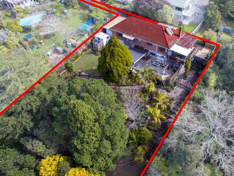 4a Roland Hill Glen Eden_1