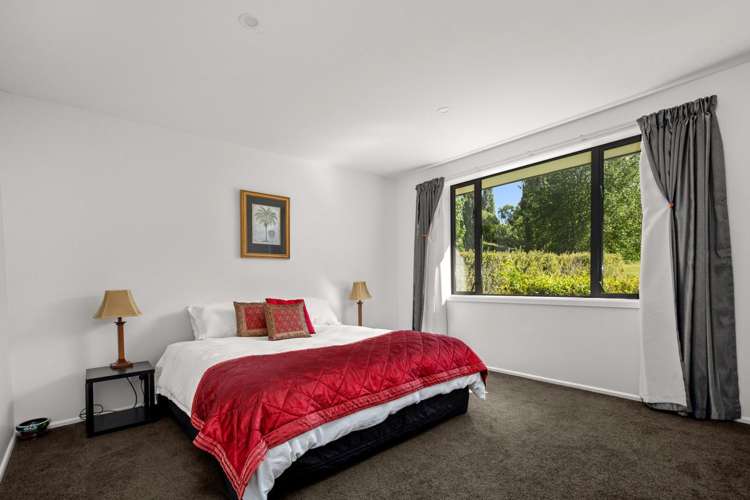 376D Earnscleugh Road Alexandra_15