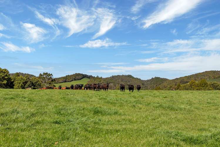 123 Waipipi Road Whananaki_36