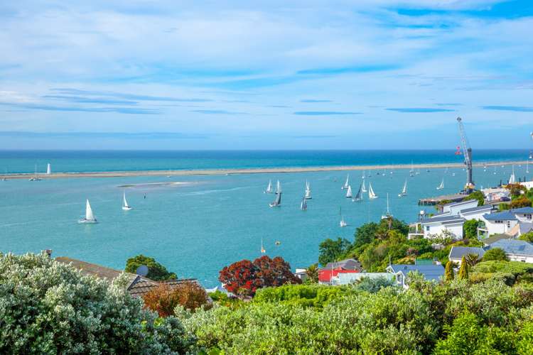 52a Fifeshire Crescent Stepneyville_7