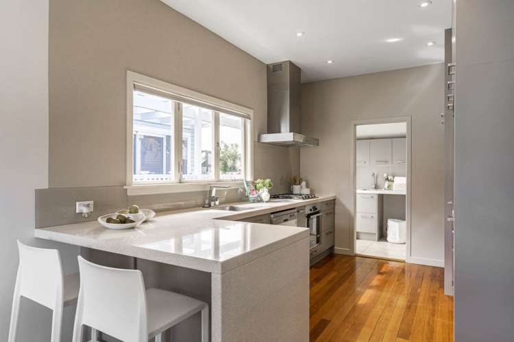 27 Williamson Avenue Grey Lynn_13