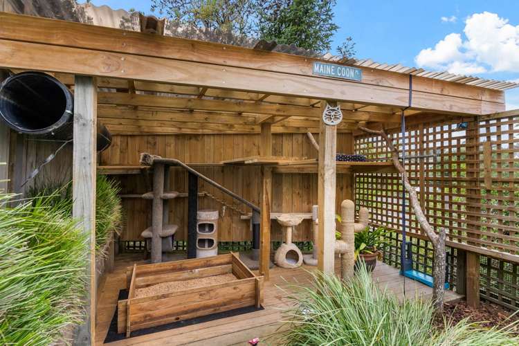 18 Jayne Place Torbay_23