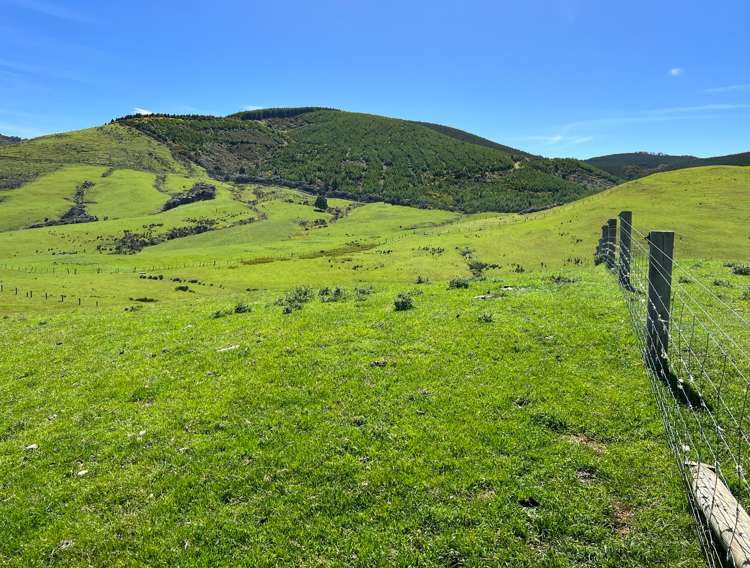 194 Beaumont Station Road Ohai_8