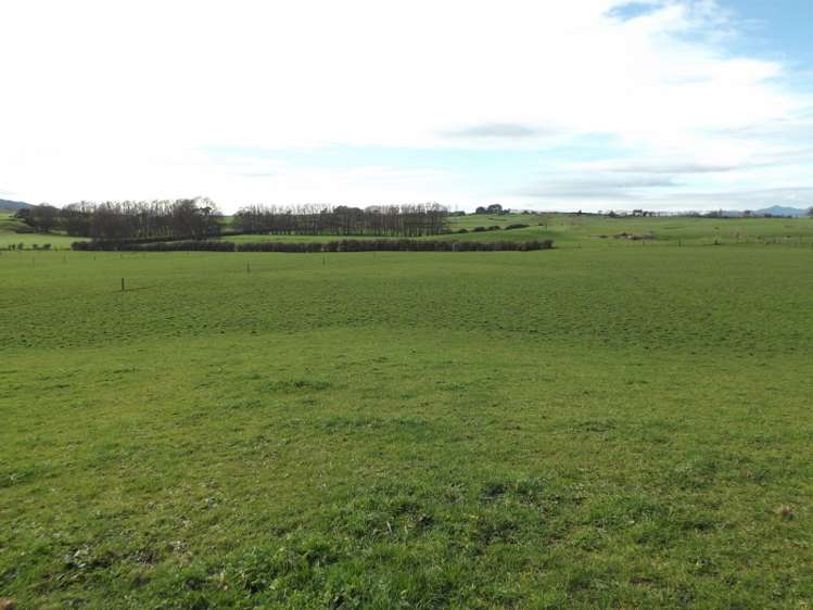 365 Tauhei Road Morrinsville_4