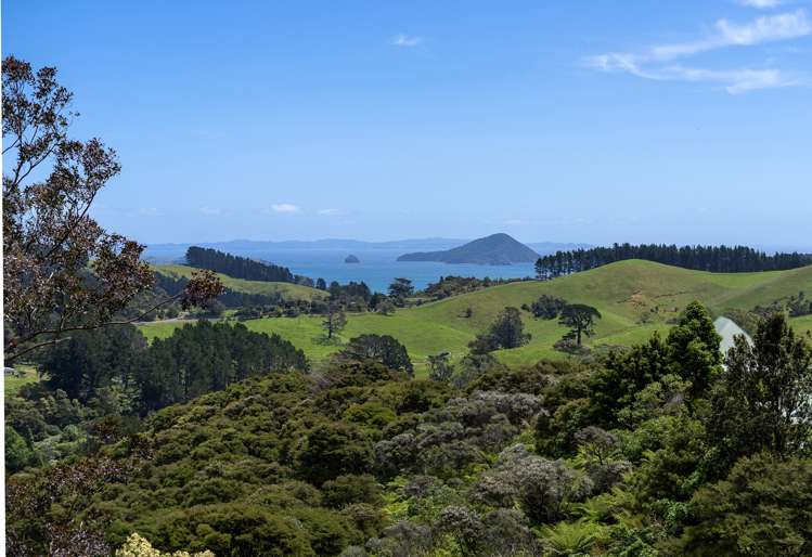 1090 Driving Creek Road Coromandel_1