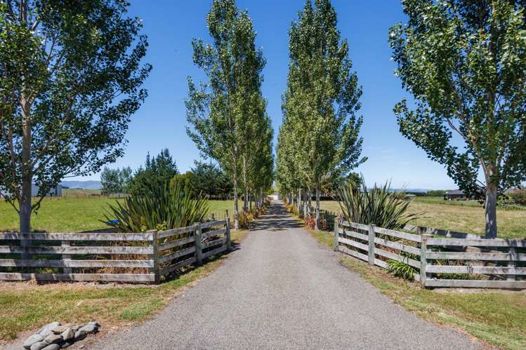 572 Taonui Road Colyton_20