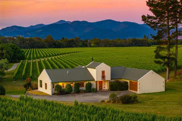 Flagship Marlborough Vineyard Estate