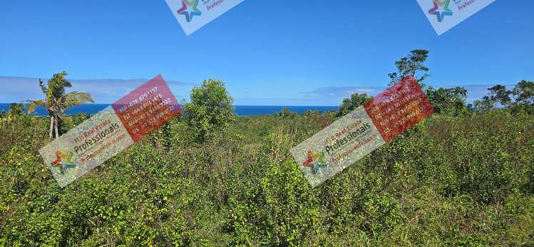 Address withheld Sigatoka_33