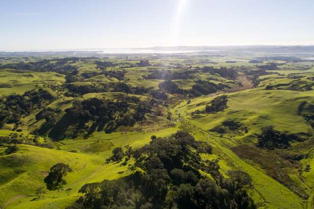 36 Goudie Road Helensville_3