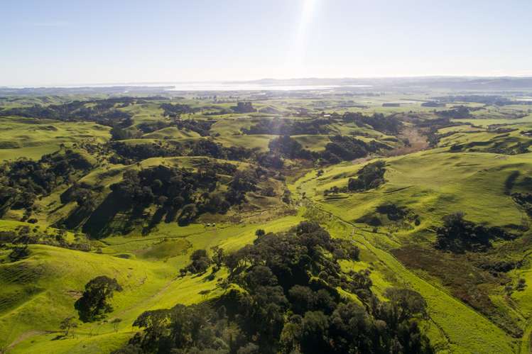 36 Goudie Road Helensville_3