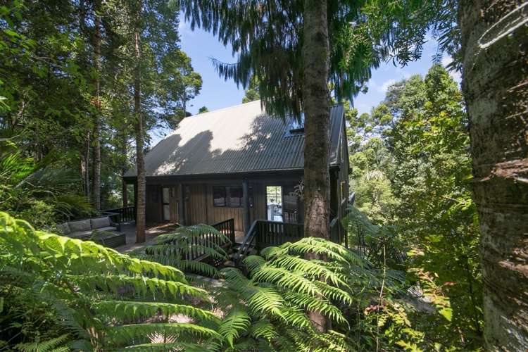 8 Takahe Road Titirangi_14
